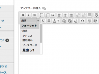 WordPressでビジュアルエディタを利用されている方は必見!見出し1、見出し2を省く方法