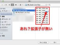 【Mac】あれ?保存したファイルに拡張子がないぞ?という時の対処方法!